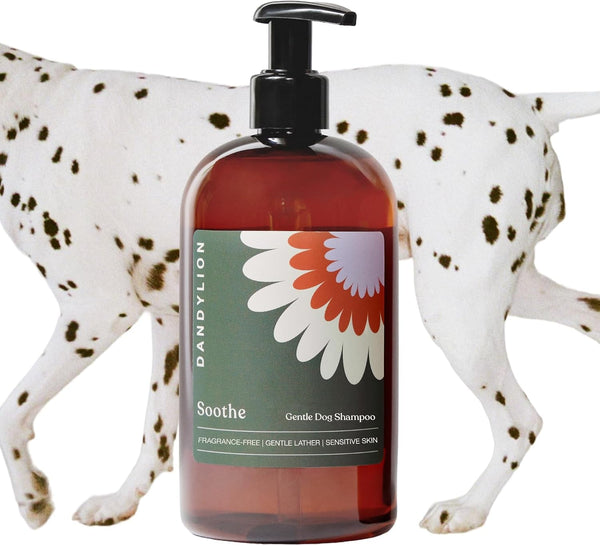 Dog Shampoo, Soothe Gentle Cleansing, Hydrating, Sensitive Skin, 16 Fl Oz | Dandylion Pet Shampoo, Fragrance Free, Ph Balanced, Plant Derived Formula for Dry Coats and All Coat Types, Dog Bath Supplies1