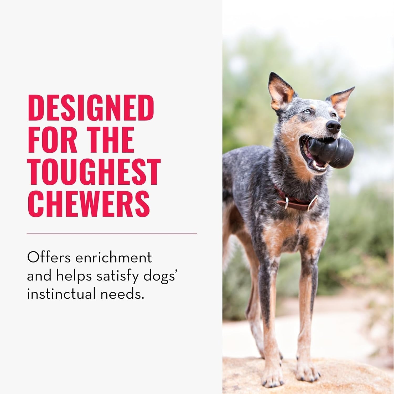 kong-extreme-dog-toy-fetch-chew-toy-treat-filling-capabilities-erratic-bounce-for-extended-play-time-most-durable-natural-rubber-material-for-power-chewers-for-large-dogs