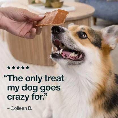Just Food for Dogs Single Ingredient Healthy Dog Treats and Dog Snacks, Jerky Treats, Human Grade, Preservative and Grain Free, Rawhide Free Chews, Low Calorie Treat - Chicken Breast, 5 Oz | Human Grade Chicken Treats for Dogs, Jerky Dog Snacks, Preservative & Grain Free, Rawhide Free Chews, Low Calorie Treat7