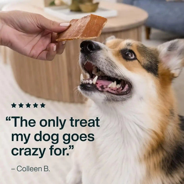 Just Food for Dogs Single Ingredient Healthy Dog Treats and Dog Snacks, Jerky Treats, Human Grade, Preservative and Grain Free, Rawhide Free Chews, Low Calorie Treat - Chicken Breast, 5 Oz | Human Grade Chicken Treats for Dogs, Jerky Dog Snacks, Preservative & Grain Free, Rawhide Free Chews, Low Calorie Treat7