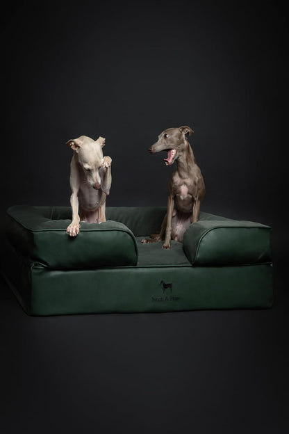 NOAH & PAW Large Dog Bed, 35X25X11 Inch, Orthopedic Dog Beds, Eggshell Memory Foam Infused with Cooling Gel, Inner Cover, Water Resistant, Machine Washable (Faux Leather)7