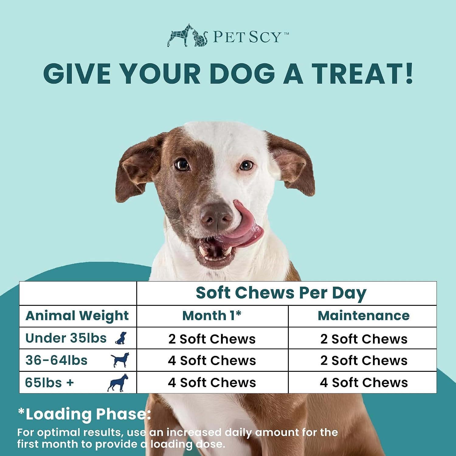 itch-allergy-plus-dog-allergy-chews-for-itchy-skin-ears-paws-colostrum-probiotics-quercetin-dog-allergy-relief-for-skin-redness-hair-loss-immunity-and-digestive-health-60-chews
