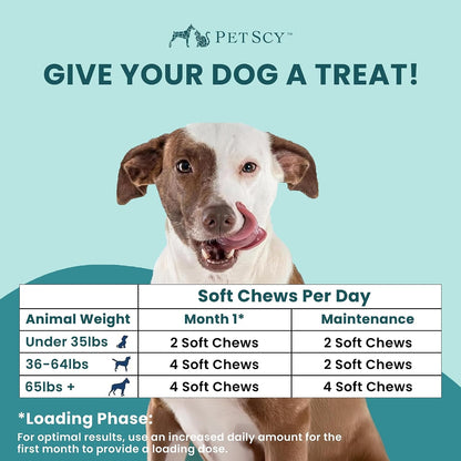 Itch & Allergy plus Dog Allergy Chews for Itchy Skin, Ears & Paws | Colostrum, Probiotics & Quercetin | Dog Allergy Relief for Skin Redness, Hair Loss, Immunity and Digestive Health - 60 Chews6