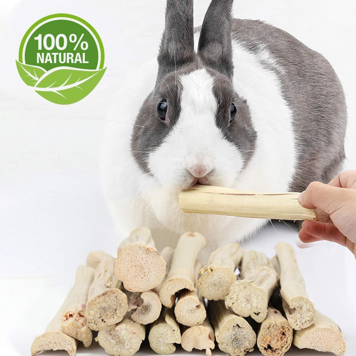 bwogue-100g-pet-snacks-bamboo-chews-for-rabbits-sweet-bamboo-chew-sticks-about10-14-sticks-3-94-in-bamboo-sticks-for-rabbits-rabbit-chew-toys-squirrels-guinea-pigs-chinchillas-hamsters
