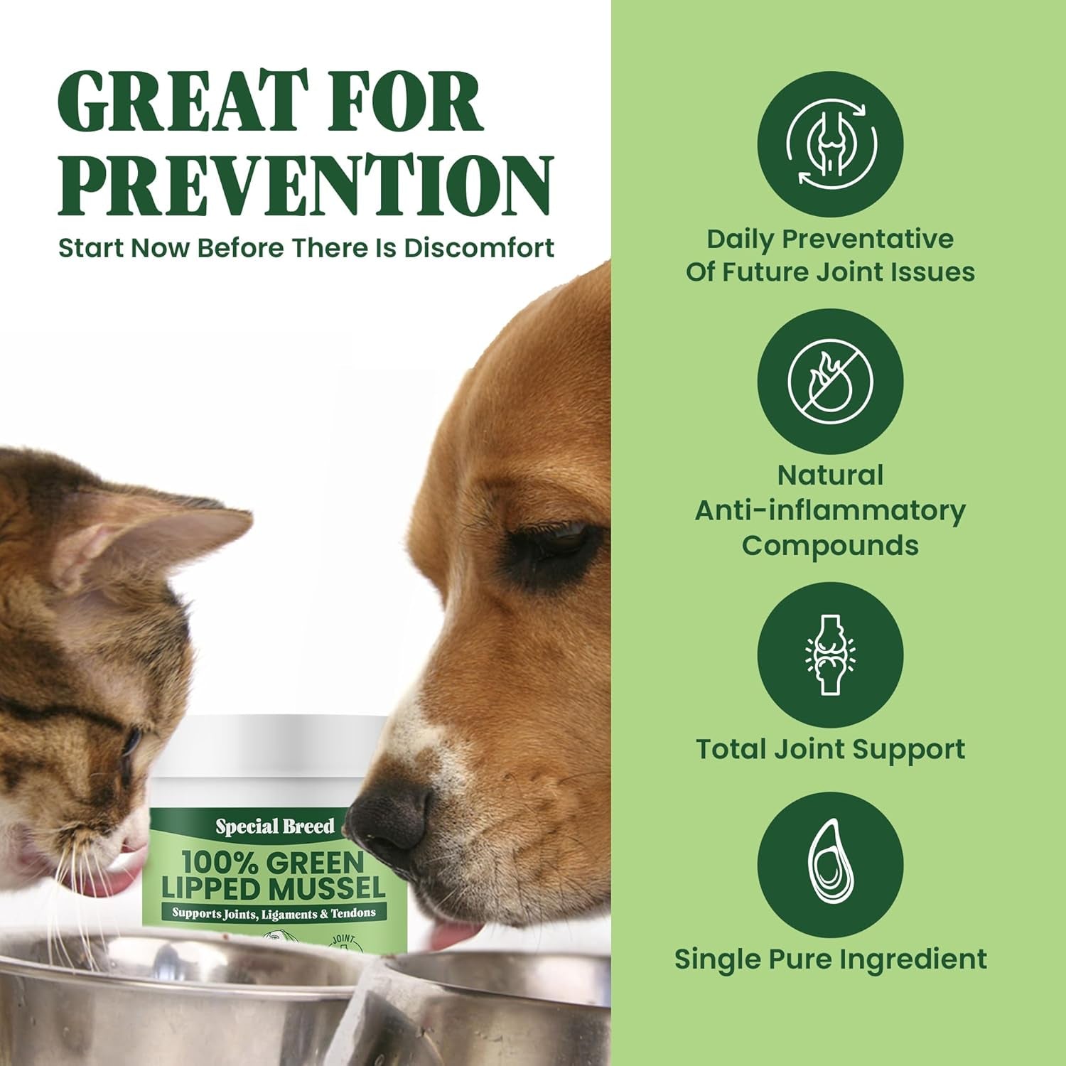 green-lipped-mussel-powder-for-dogs-cats-100-new-zealand-green-lipped-mussels-natural-hip-joint-supplement-for-joints-tendons-ligaments-muscles-75-grams-up-to-250-servings