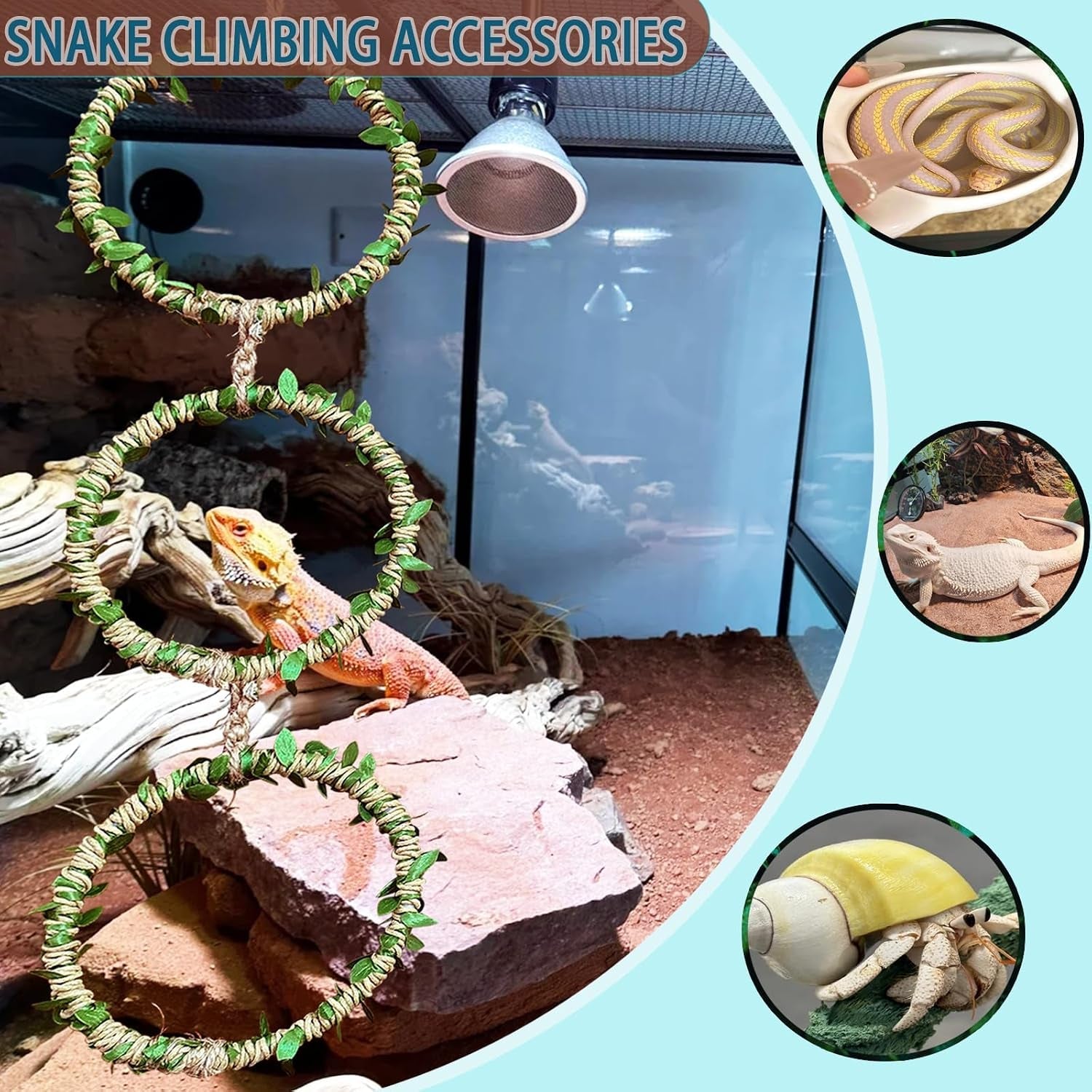 snake-climbing-rings-for-ball-python-enclosure-accessories-reptile-habitat-decor-climbing-branches-bedding-for-ball-python-for-corn-snake-enhancement-ring-toys