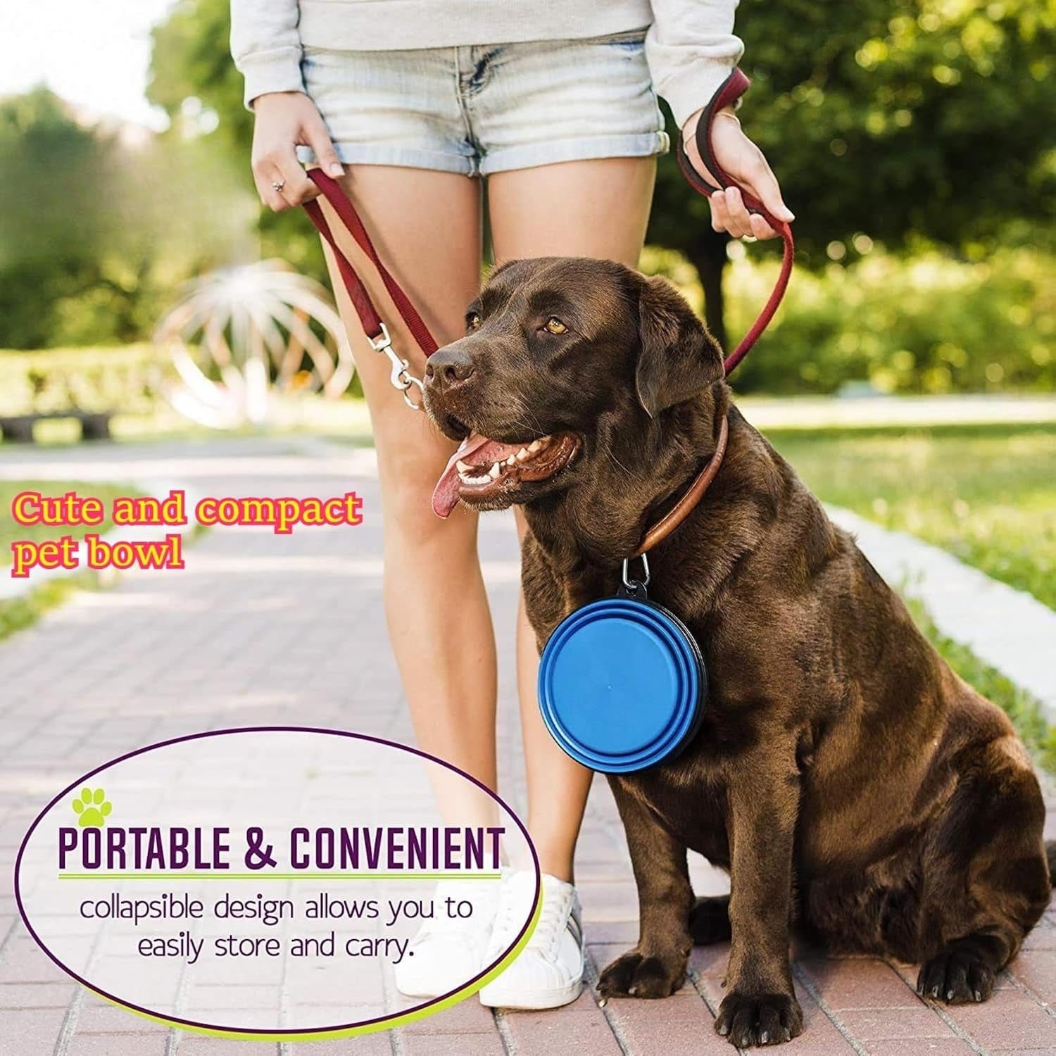1pc-collapsible-silicone-pet-feeder-portable-dog-travel-bowls-water-food-container-with-carabiner-hook-space-saving-cat-bowl-small-350ml-12fl-oz-blue