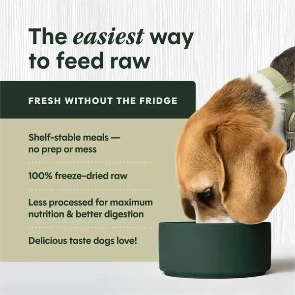Instinct Freeze-Dried Meals, Freshdried Bites, Natural Dog Food, Grain-Free - Grass-Fed Beef, 25 Oz. Bag3