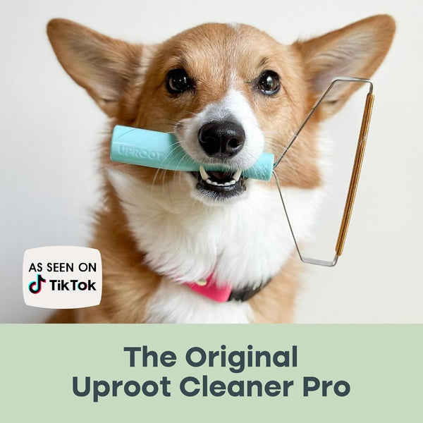 Uproot Clean Pro Pet Hair Removal Tool - Multi-Fabric Edge, Carpet Rake | Reusable Special Dog Hair Remover for Couch, Pet Towers, Rugs, Cat Mats, and Trunks & Much More, Patented Design7