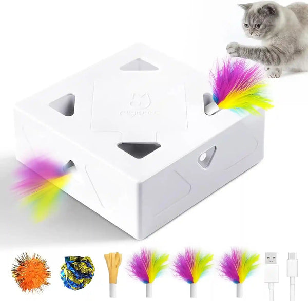 Interactive Cat Toys -Migibox for Indoor Bored Cats, Automatic Pop Out Feathers from 7 Holes Randomly, Motion Activated, USB Rechargeable (Purple Skin)1
