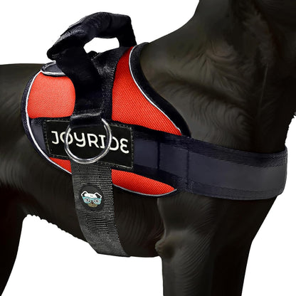 Joyride Dog Harness 2.0 | No-Pull | Blue 2.0 | M | Reflective No-Choke Quick-Fit Vest with 3 Leash Clips and Escape-Resistant Design for Easier Walks and Training11