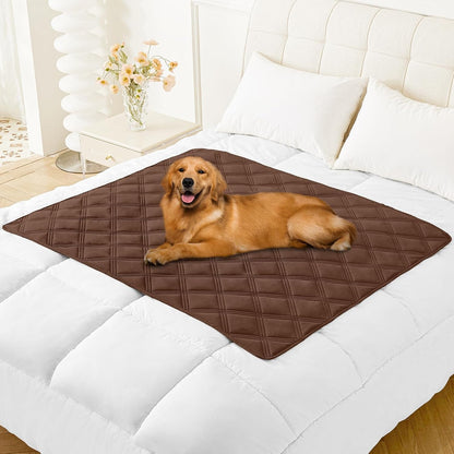 Smiry Waterproof Dog Bed Cover Blanket, Reversible Pet Blanket | Soft Reversible, Washable Leakproof Cats Dogs Couch Cover for Sofa, Couch, Furniture (30X70 Inch)79