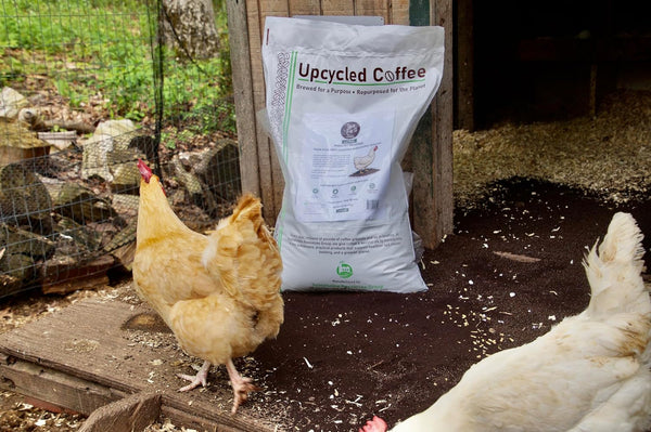 Javaearth® Coffee Bedding for Chickens - Loose Upcycled Coffee Grounds Poultry Litter for Coops & Brooders, Natural Clumping & Odor Control, 20 Lbs2
