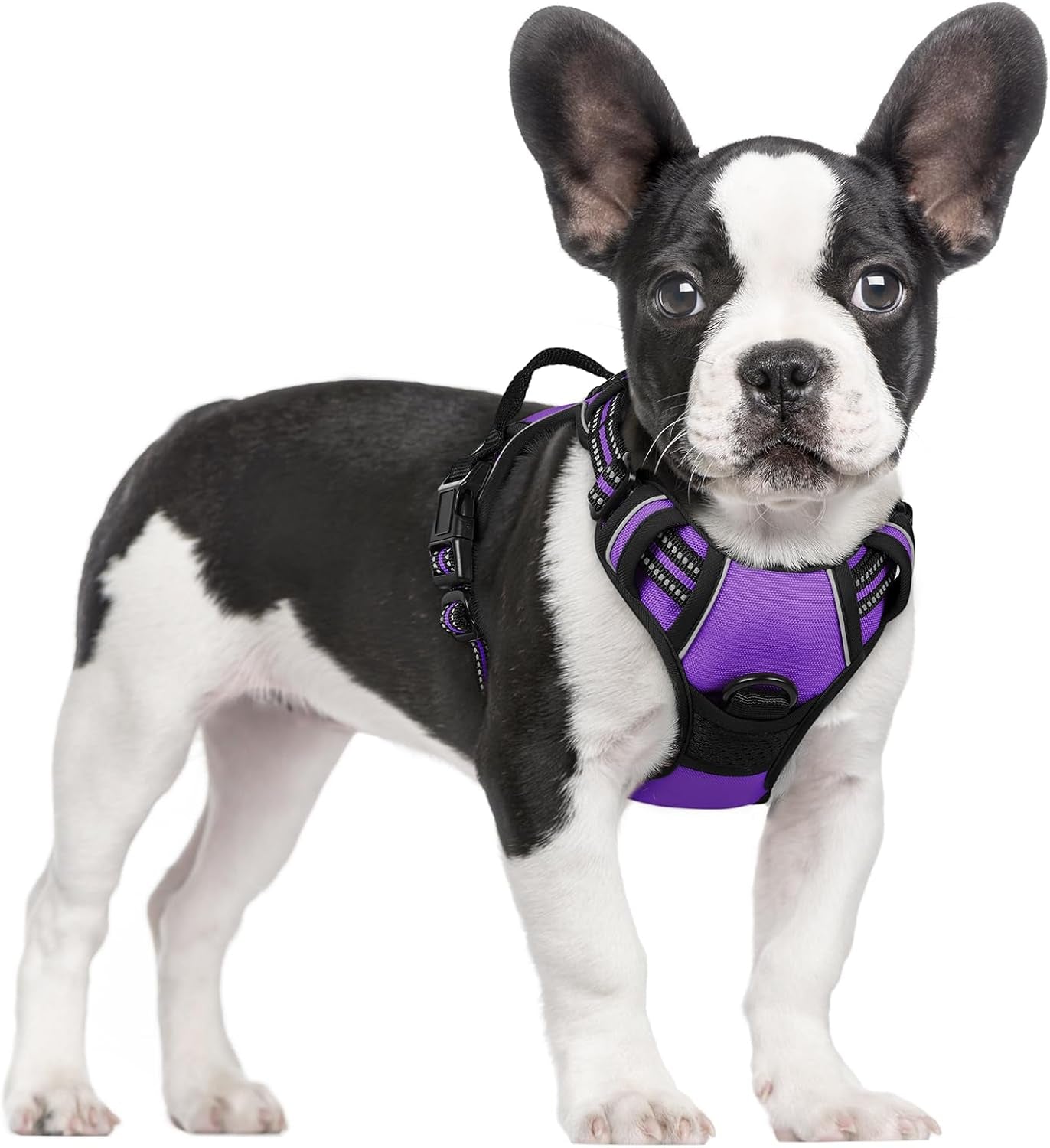 rabbitgoo-dog-harness-no-pull-for-large-dogs-with-2-leash-clips-pet-vest-no-choke-with-handle-adjustable-soft-padded-reflective-easy-control-for-walking-black-large