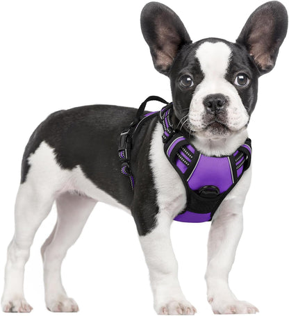 Rabbitgoo Dog Harness, No Pull for Large Dogs with 2 Leash Clips, Pet Vest | No Choke with Handle, Adjustable Soft Padded, Reflective, Easy Control for Walking, Black, Large21