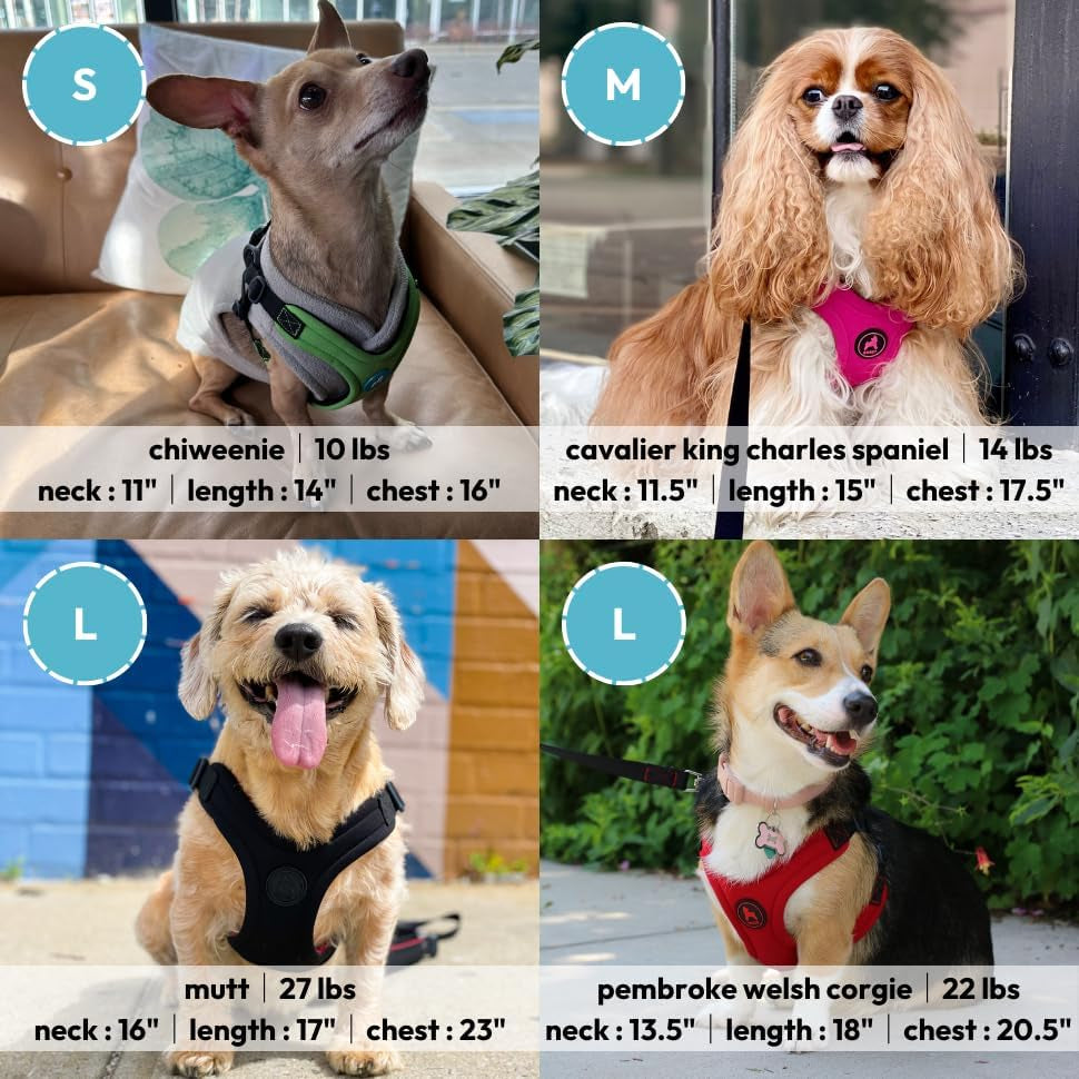 gooby-escape-free-sport-harness-red-medium-no-choke-step-in-patented-neoprene-small-dog-harness-with-four-point-adjustment-perfect-on-the-go-dog-harness-for-medium-dogs-no-pull-and-small-dogs