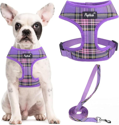 PUPTECK Soft Mesh Dog Harness Small Sized and Leash Set Pet Puppy Cat Comfort Padded Vest No Pull Harnesses, Beige, S60
