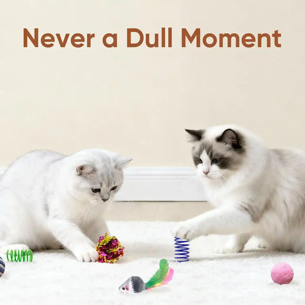 Cat Toys for Indoor Cats, 35 Packs Interactive Cat Toys Set for Kitten | Cat Toy Set with Colorful Spring, Mouse & Bell Ball, Variety Pack for Bored Kittens & Adults Self Play, Cat Toy Bulk3