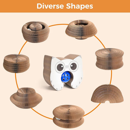 2-Pack Cardboard Cat Toy with Ball Track, Foldable Cat Scratcher Ring, Fexible Magic Organ Cat Toy for Scratch, Chase, Lounge, Indoor Exercise, Furniture Protection and Multi-Cat Homes4
