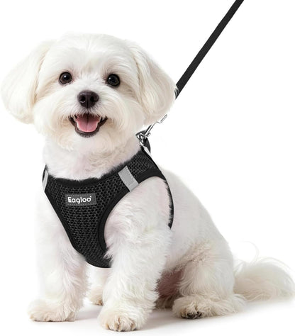 Eagloo Small Dog Harness and Leash Set, Step in Small Sized Puppy Pet Vest | Light, Soft, Breathable Air Mesh, Easy on and off with Hook & Loop, Reflective for Safe Walking, Pink, S39