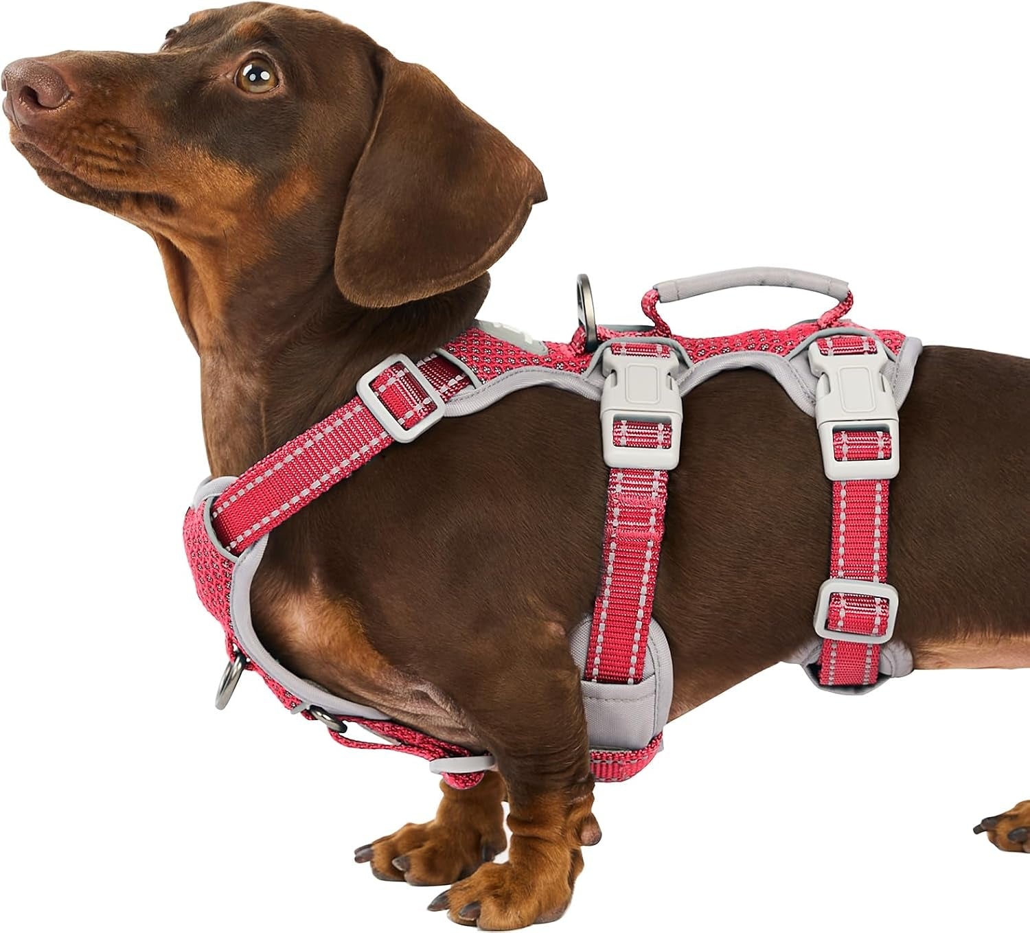 huntboo-escape-proof-harness-no-slip-dog-harness-escape-proof-fully-reflective-harness-with-handle-breathable-durable-adjustable-vest-for-medium-dogs-walking-and-training-gear-black-m