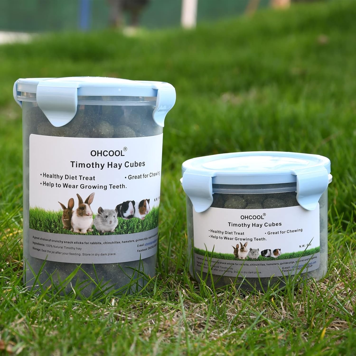 timothy-hay-cubes-6oz-small-pet-feed-100-natural-timothy-hay-cubes-specially-for-rabbits-sulcata-tortoises-guinea-pigs