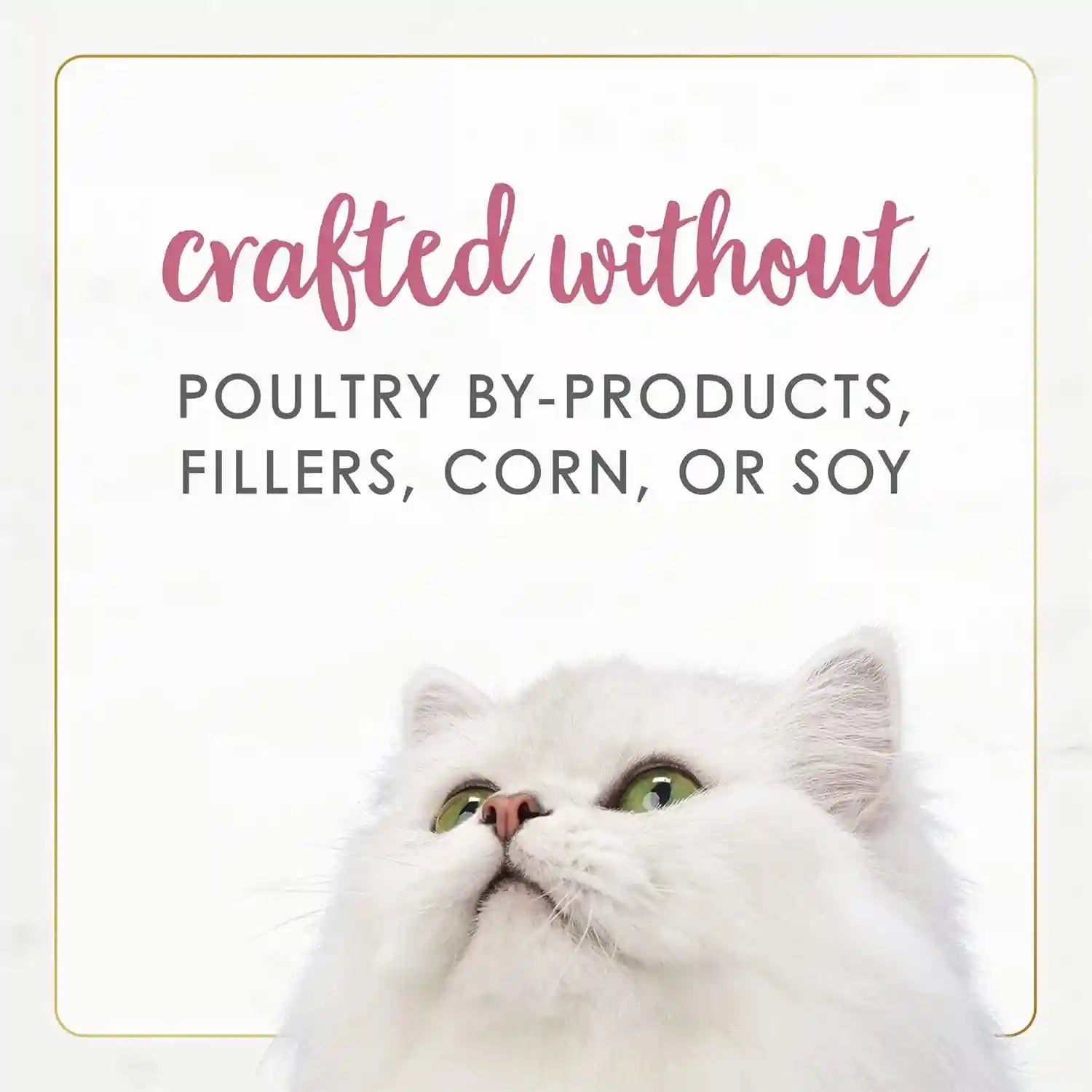 purina-fancy-feast-wet-cat-food-gourmet-naturals-wild-alaskan-salmon-and-shrimp-recipe-in-wet-cat-food-gravy-pack-of-12-3-oz-cans