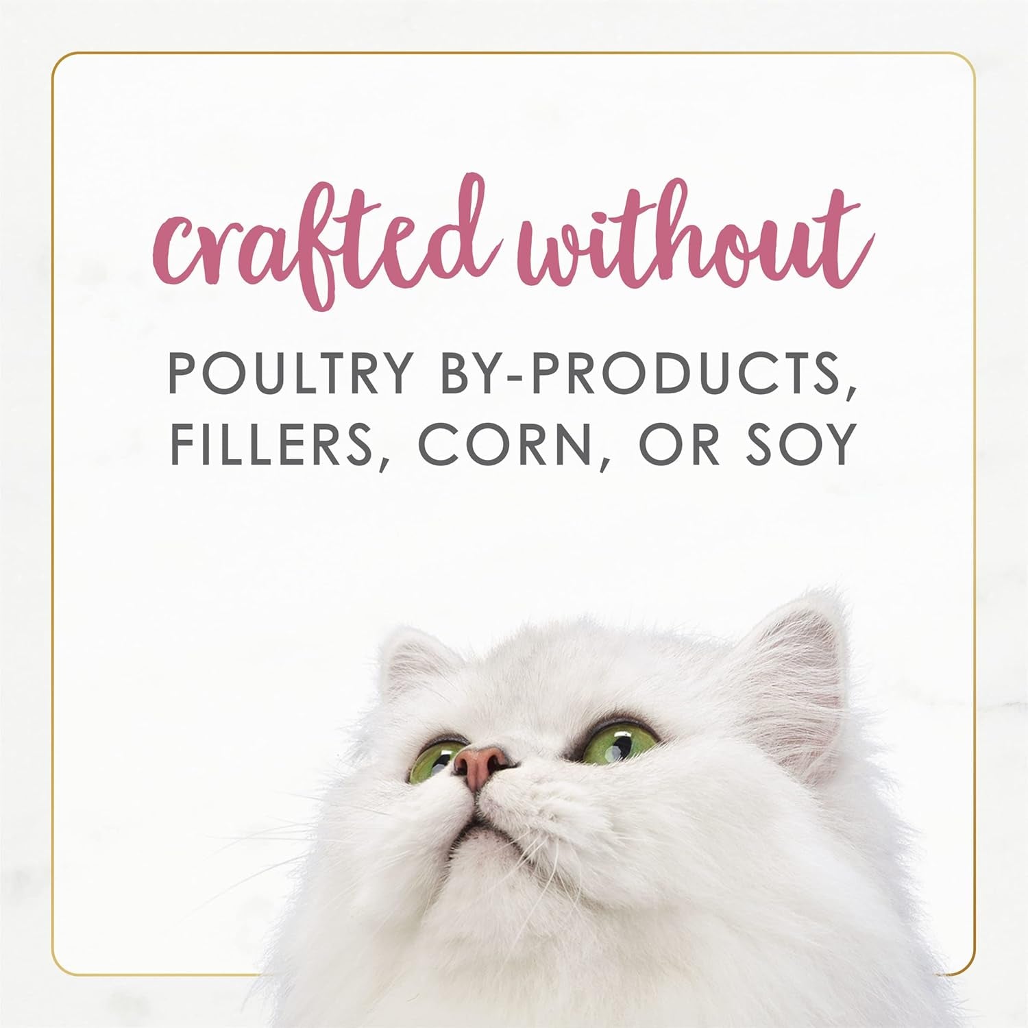 purina-fancy-feast-wet-cat-food-gourmet-naturals-wild-alaskan-salmon-and-shrimp-recipe-in-wet-cat-food-gravy-pack-of-12-3-oz-cans