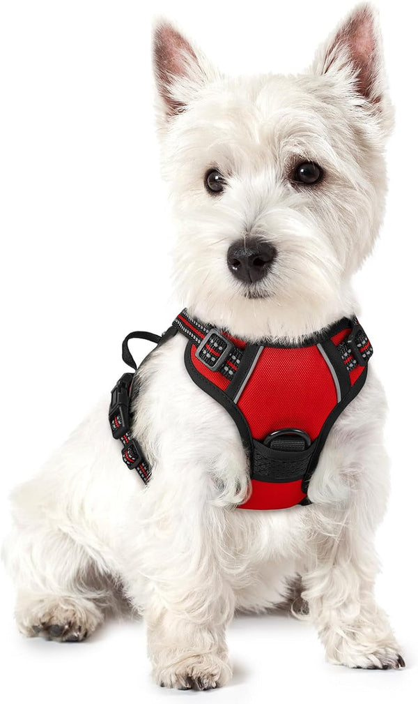 Rabbitgoo Dog Harness, No Pull for Large Dogs with 2 Leash Clips, Pet Vest | No Choke with Handle, Adjustable Soft Padded, Reflective, Easy Control for Walking, Black, Large109