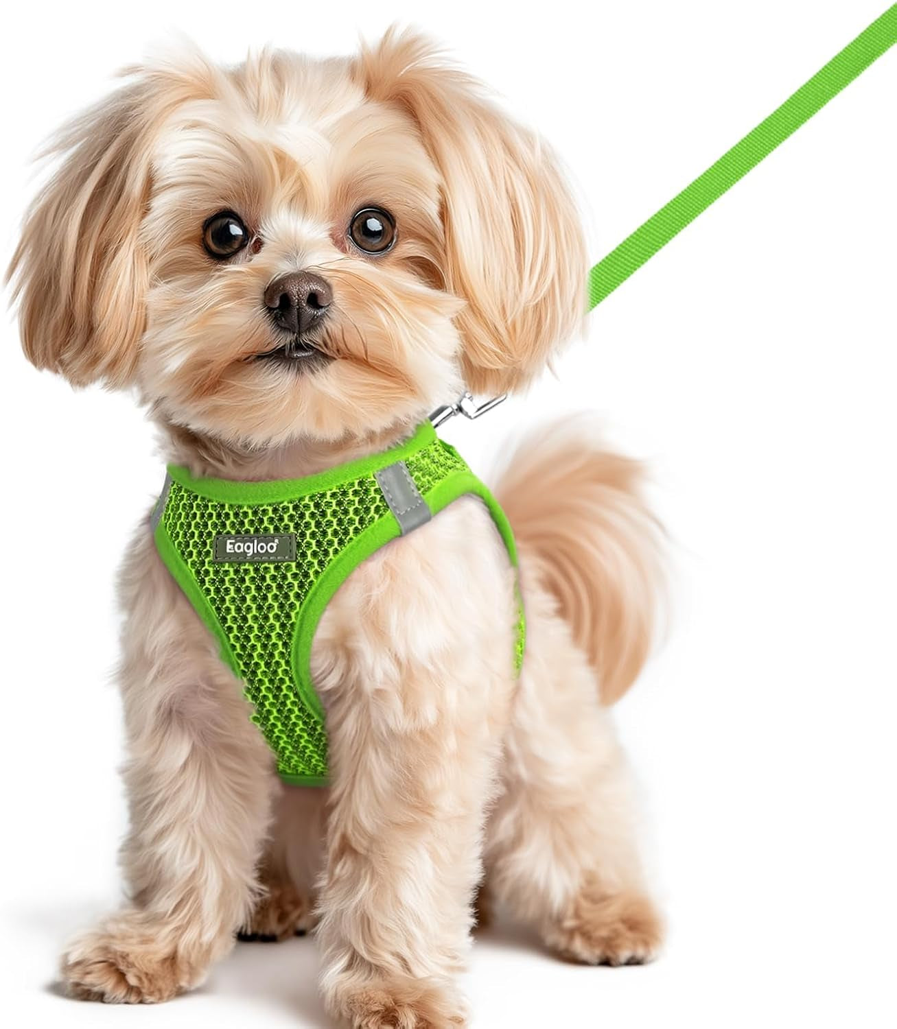 eagloo-small-dog-harness-and-leash-set-step-in-small-sized-puppy-pet-vest-light-soft-breathable-air-mesh-easy-on-and-off-with-hook-loop-reflective-for-safe-walking-pink-s
