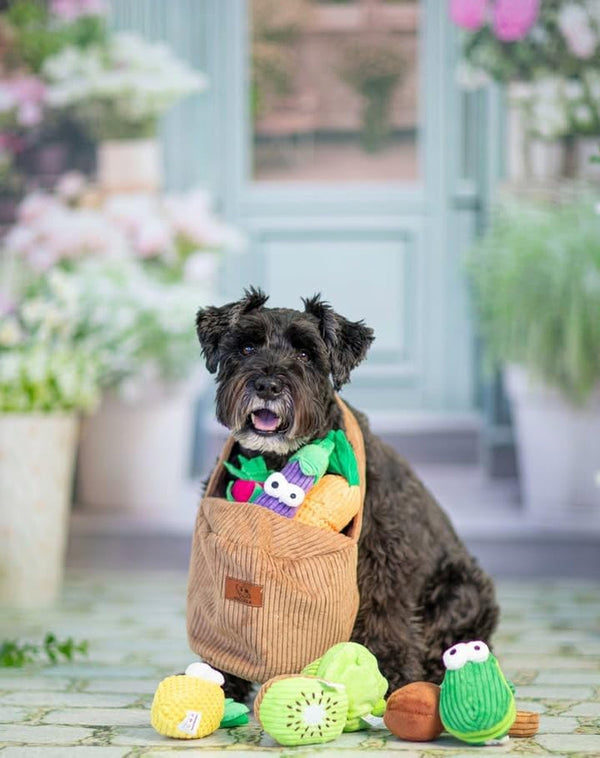 Nocciola Squeaky Fruits Veggies Stuffed Dog Toys Pack- Hide Seek Grocery Basket Crinkle Plush Puppy Toys to Keep Busy, Birthday Pet Supplies Gifts for Small Medium Breeds8