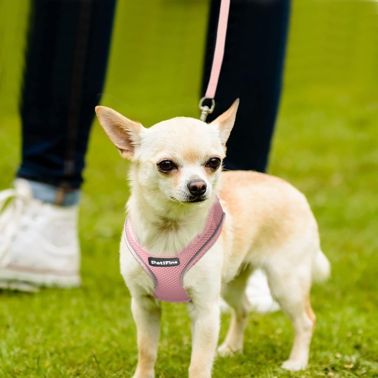 small-dog-harness-and-leash-set-breathable-step-in-puppy-cat-harness-xs-reflective-for-safe-easy-walking-soft-light-puppy-vest-escape-proof-no-pull-harness-for-dogs-all-weather-air-mesh-harness