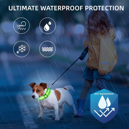 Super Bright LED Dog Collar, Waterproof Light up Collars(Green, Medium) | Lighted Dog Collar with Adjustable Fit, Soft Nylon Comfort, USB-C Rechargeable, Glow in the Dark Visibility for Night Walks4