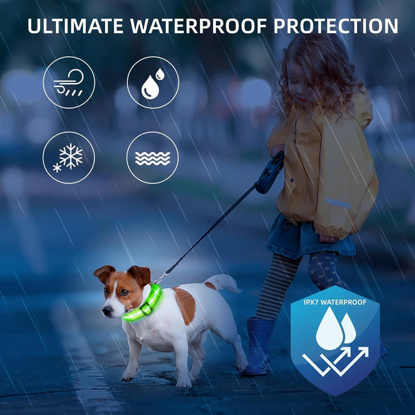 Super Bright LED Dog Collar, Waterproof Light up Collars(Green, Medium) | Lighted Dog Collar with Adjustable Fit, Soft Nylon Comfort, USB-C Rechargeable, Glow in the Dark Visibility for Night Walks4