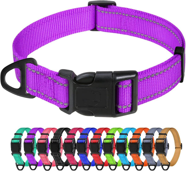 Tagme Small Dog Collar, Reflective Puppy Collar, Sky Blue, 3/8" Width | Lightweight, Nylon Collar for Puppies, Chihuahua, Yorkie & Teacup Dogs 5-15 Lbs, Reflective for Evening Walks, 12 Colors36