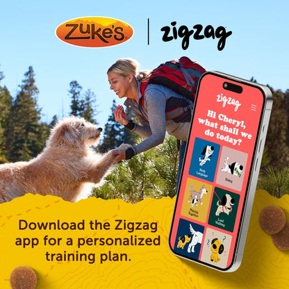 Zuke’S Mini Naturals Dog Training Treats for Dogs of All Sizes, Pet Treats Made with Real Salmon, 16 Oz. Resealable Pouch - 16 Oz. Bag9