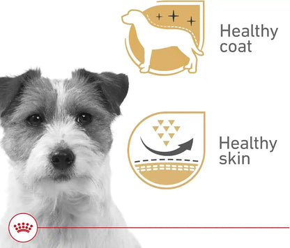 ROYAL CANIN Canine Health Nutrition Adult Beauty Loaf in Sauce Dog Food, 5.2 Oz (Pack of 24)3