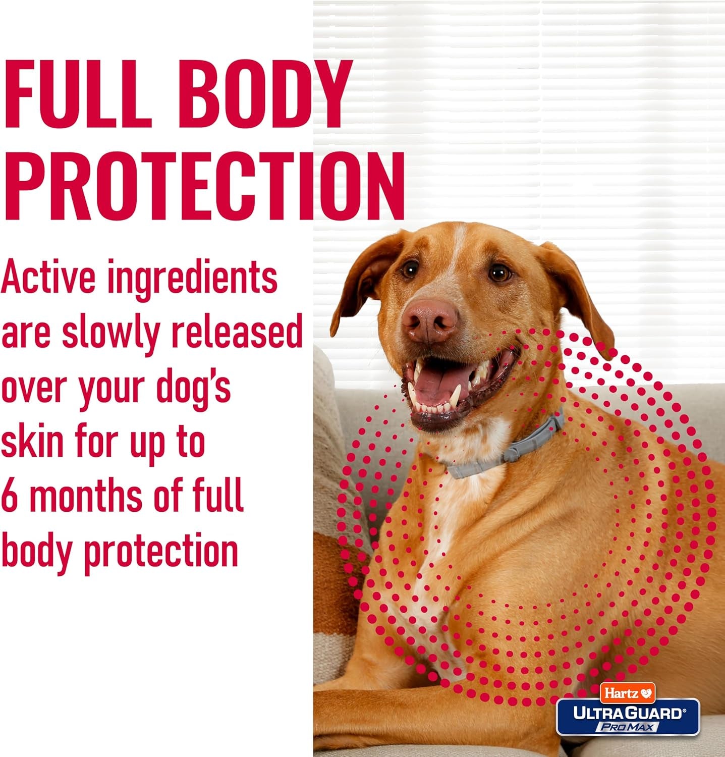 hartz-ultraguard-promax-flea-tick-collar-for-dogs-i-12-months-protection-i-soft-comfortable-flea-tick-prevention-i-2-pack-gray