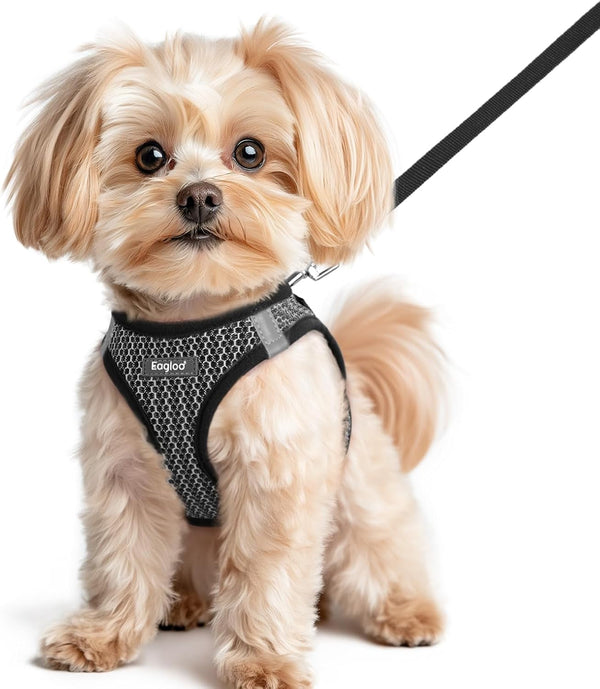 Eagloo Small Dog Harness and Leash Set, Step in Small Sized Puppy Pet Vest | Light, Soft, Breathable Air Mesh, Easy on and off with Hook & Loop, Reflective for Safe Walking, Pink, S28