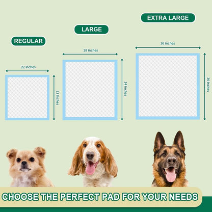IMMCUTE Puppy Pads 22"X23" 100 Count | 6-Layer Leak-Proof & Super Absorbent Dog Training Pads | Disposable Potty Pads for Puppies, Dogs, Cats & Rabbits | Blue & White6