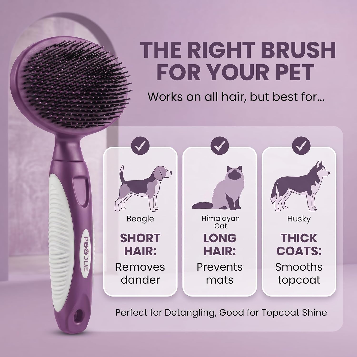 round-bristle-pet-brush-for-dogs-and-cats-soft-dog-brush-for-grooming-short-or-long-hair-gentle-tool-for-sensitive-skin-removes-dander-dirt-and-detangles-purple