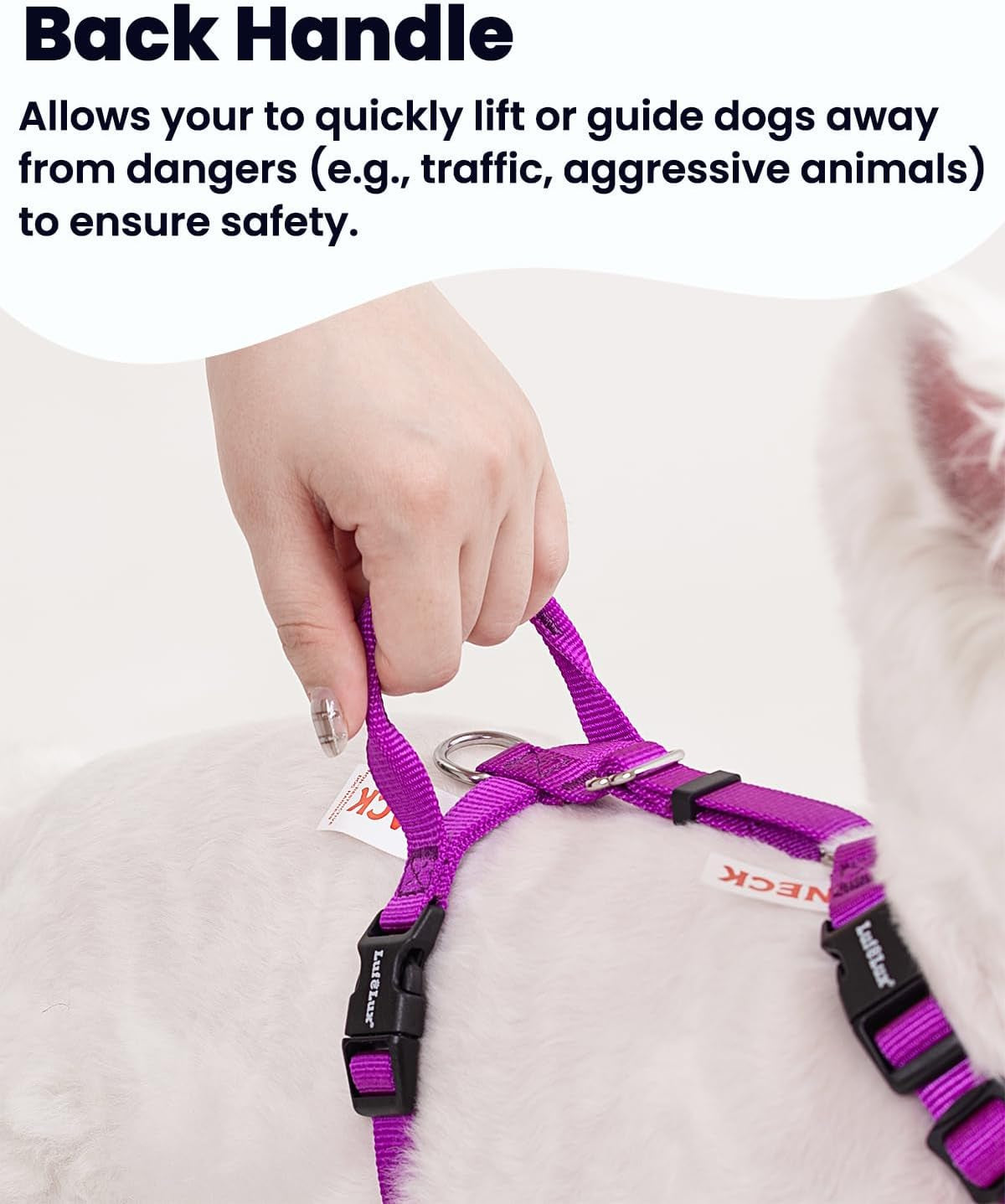 no-pull-dog-harness-small-purple-black-non-restrictive-neck-buckle-design-six-points-adjustment-lightweight-easy-walk-small-dogs-chest17-23inches