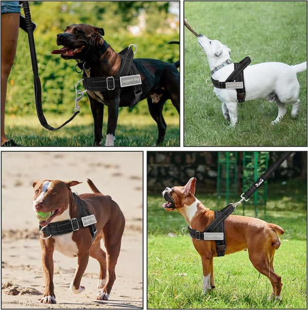 Slowton No Pull Dog Harness - Heavy Duty Dog Harness and Leash Set for Medium Large Dogs, Reflective Tactical Harness with Soft Padded and Front Clip for Easy Walk and Training (Black L)8