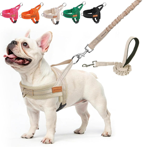 BEAUTYZOO Dog Harness No Pull, Quick Fit Dog Harness and Leash Set, Escape Proof Vest Harness with Soft Handle, Reflective Breathable Mesh Padding Harness for Medium Size Dog Training Walking, Beige M1