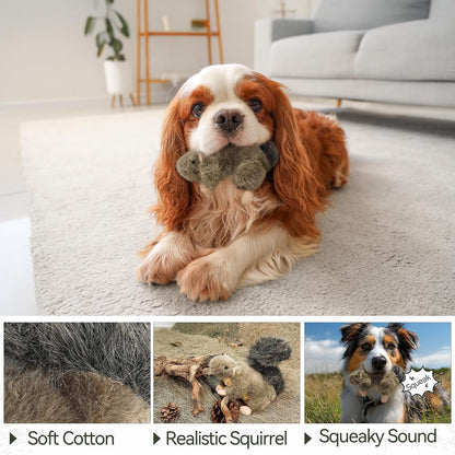 ALL for PAWS Classic Squirrel Pet Toys, Small5