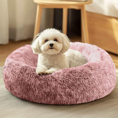 JOLLYVOGUE Small Dog Bed, Calming Soft Anti-Anxiety Donut Cat Bed, Washable round Fluffy Cushion for Small and Medium Pets (20")22