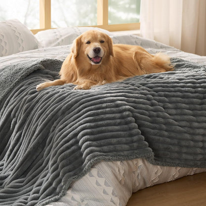 Bedsure Comfyfleece™ Waterproof Dog Blankets for Large Dogs,50X60 Cream | Soft Plush Couch Cover,Washable Corduroy Fleece for Furniture Protector,Cozy Calming Reversible Pet Blanket for Senior Dogs16