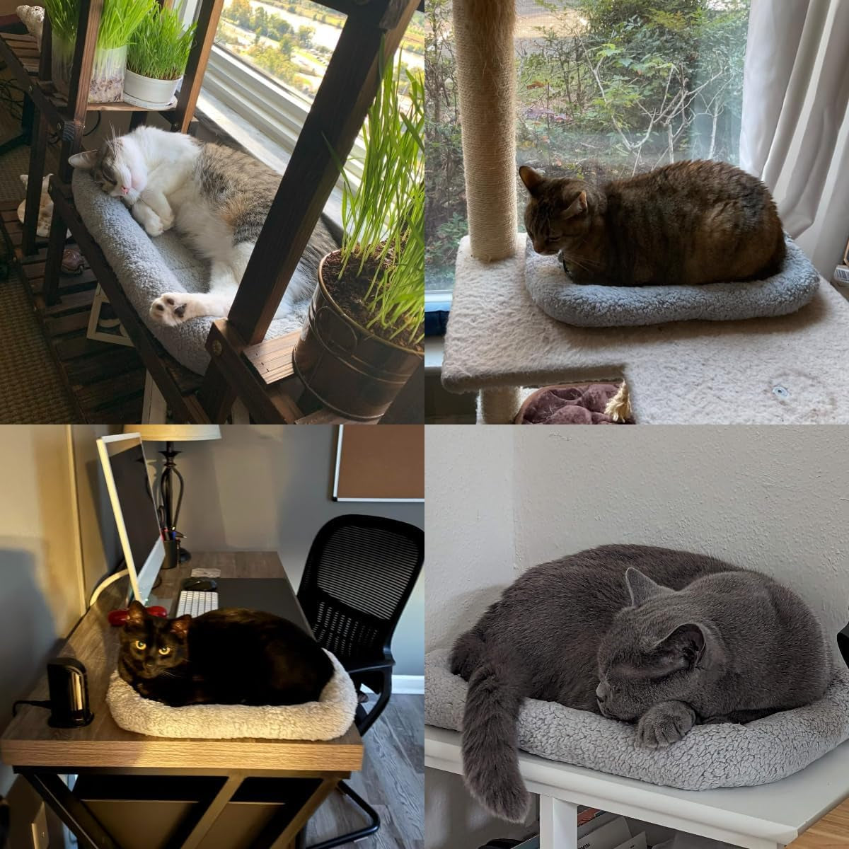 lesypet-cat-bed-for-indoor-cats-soft-cat-cushion-with-cat-pillow-around-rectangle-kitten-pad-small-bed-for-window-sill-15-x-10
