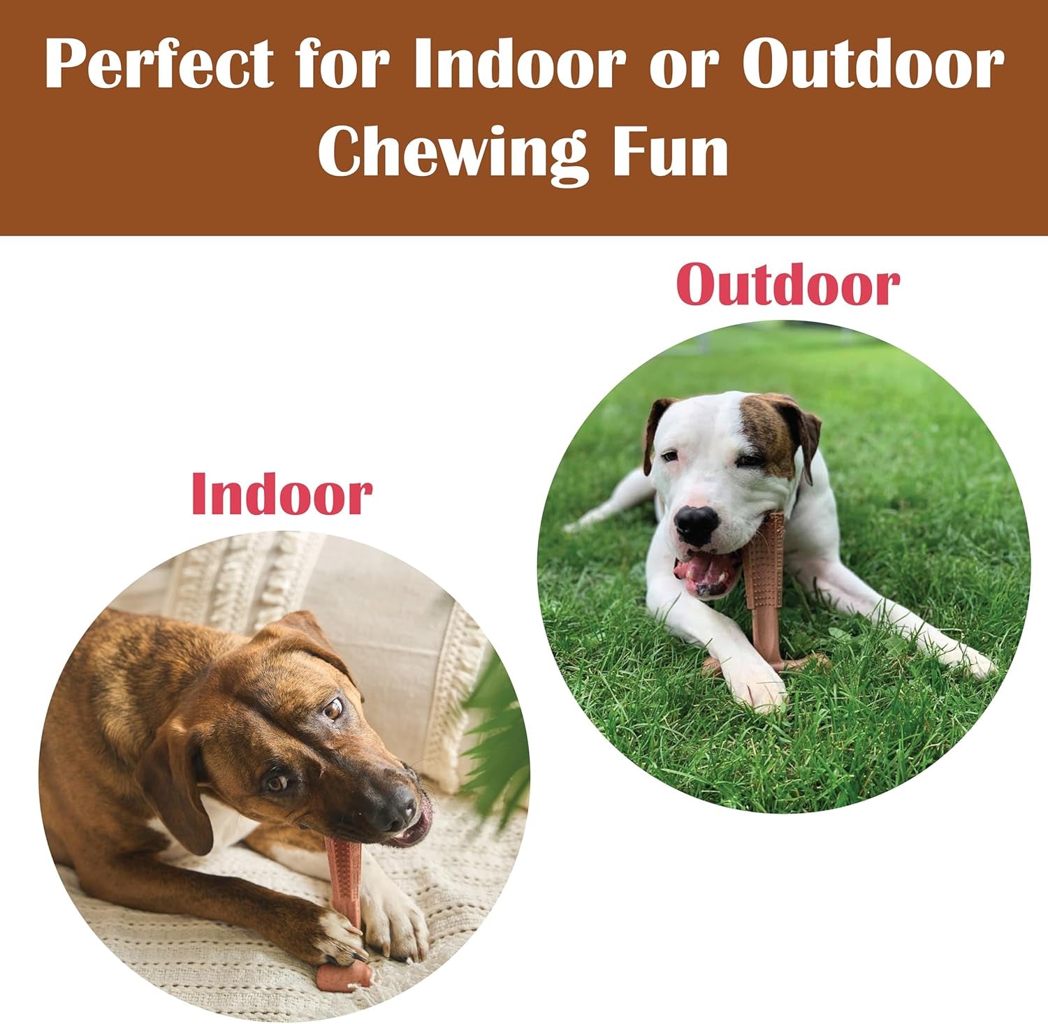 spot-bam-bones-plus-t-bone-bamboo-fiber-nylon-dog-chew-toy-for-moderate-to-aggressive-chewers-durable-long-lasting-non-splintering-beef-flavor-toy-for-adult-dogs-puppies-under-60-lbs-6-in