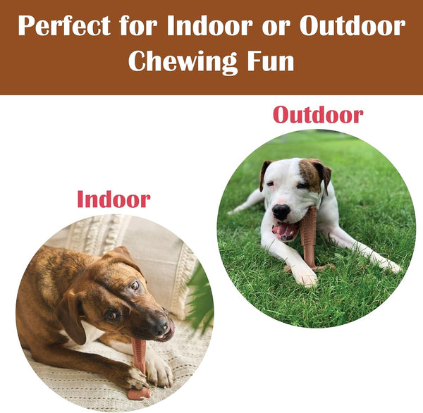 SPOT Bam-Bones plus T Bone – Bamboo Fiber & Nylon Dog Chew Toy for Moderate to Aggressive Chewers, Durable Long Lasting & Non-Splintering, Beef Flavor Toy for Adult Dogs & Puppies under 60 Lbs, 6 In9